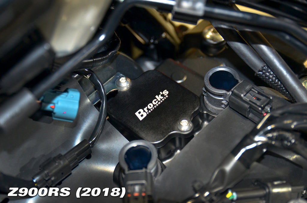Brock's PAIR Block Off Plates Ninja H2 (15-21), H2 SX/SE/SE+ (18-21), Z H2 (20-21), ZX-14/R (06-21), ZX-10R (04-21), Z900 (17-21), and Z900RS (18-21)